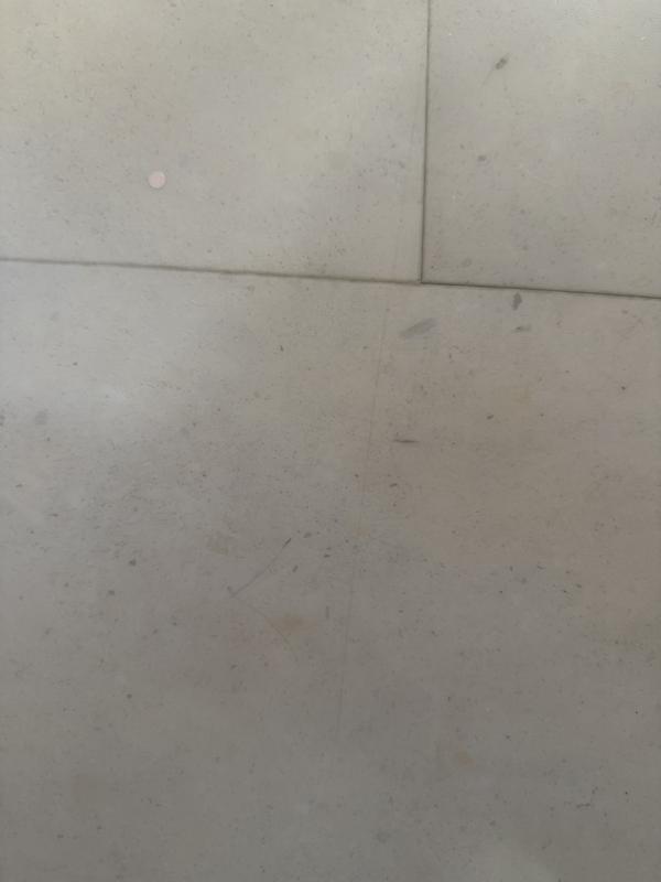 Pergo Rome Marble White Marble Look 22-mil x 12-in W x 24-in L ...