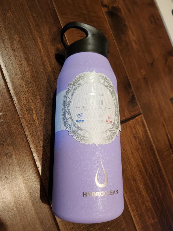 Hydroclear Hyrdoclear Flash stainless steel bottle 40-fl oz Stainless Steel Water  Bottle in the Water Bottles & Mugs department at