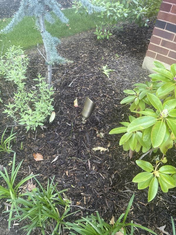 https://photos-us.bazaarvoice.com/photo/2/cGhvdG86bG93ZXM/73555c74-a57b-5bdb-b076-20176e9c9d14