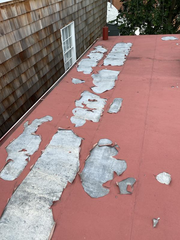 Rust-Oleum Professional 400 VOC Flat Rusty Metal Interior/Exterior