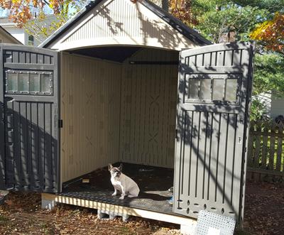 Rubbermaid 7 x 7 Foot Weather Resistant Resin Outdoor Storage Shed, Gray