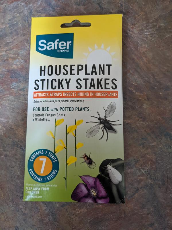 Safer Brand Houseplant Sticky Stakes in the Insect Traps department at