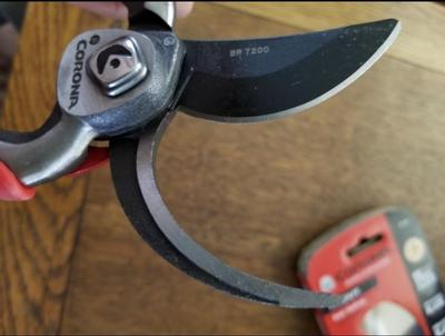 Bypass Pro Pruner - Blue ⋆