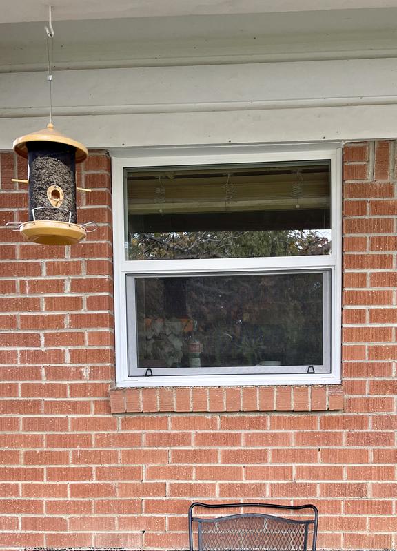 RELIABILT 105 Series New Construction 23-1/2-in x 35-1/2-in x 2-5/8-in Jamb White Vinyl Low-e Argon Single Hung Window with Grids Half Screen Included