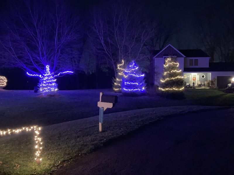 SOMMARLÅNKE LED string light with 24 lights, decoration blue