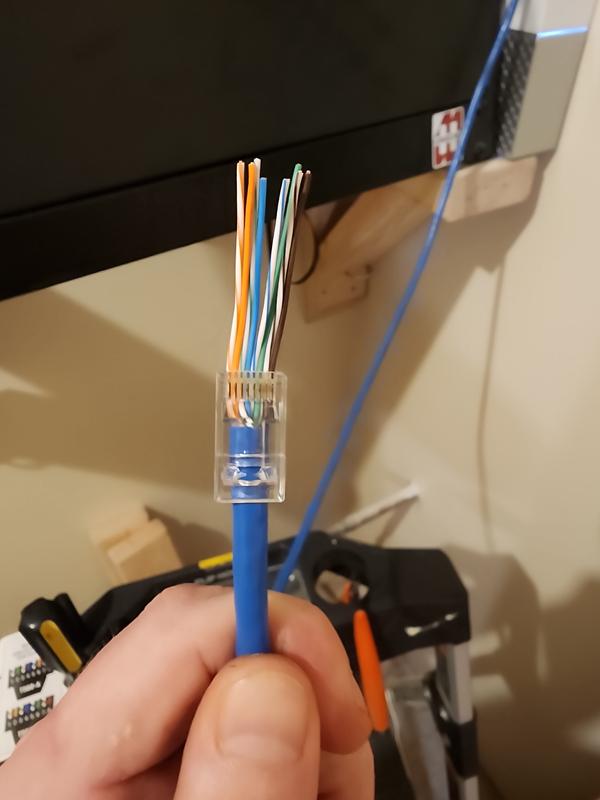 Klein Tools 50-Pack Cat6 Rj45 Modular Plug VDV826703 at Lowes.com