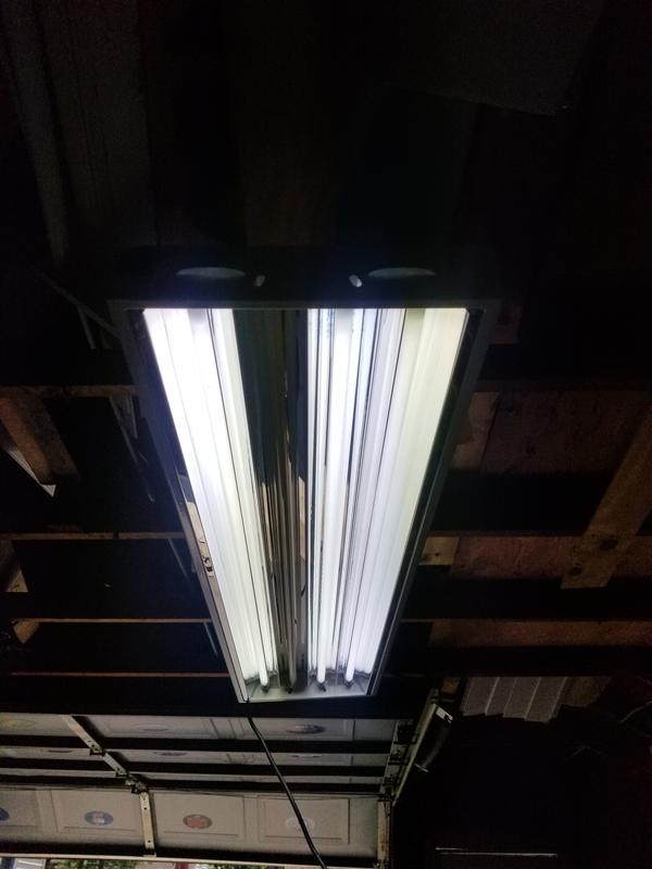 ヒジン fulahoop luminous セット Sun Blaze T5 HO 44- 4 ft 4 Lamp- 120 VoltLighting Accessory
