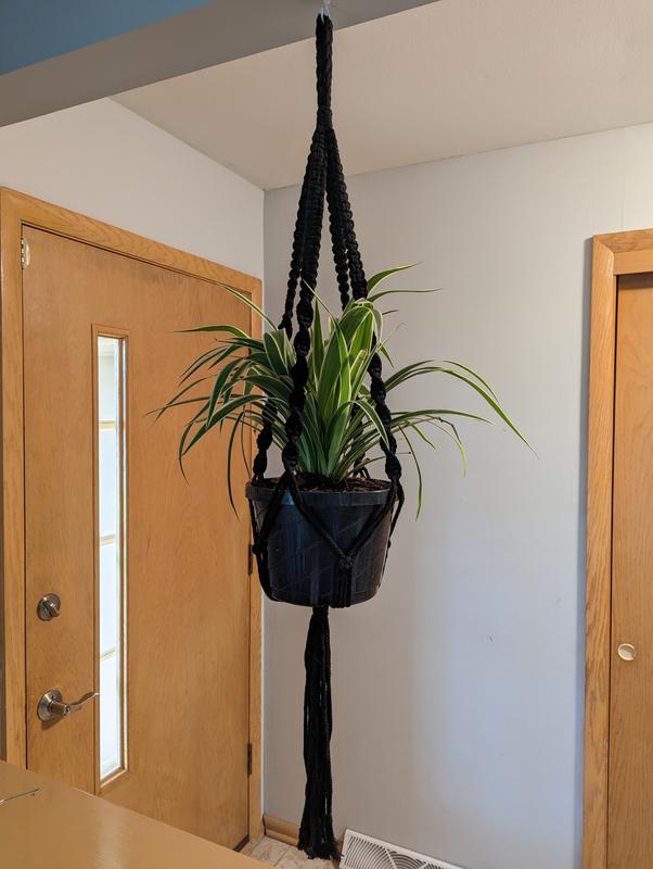 Black Plant Hanger 