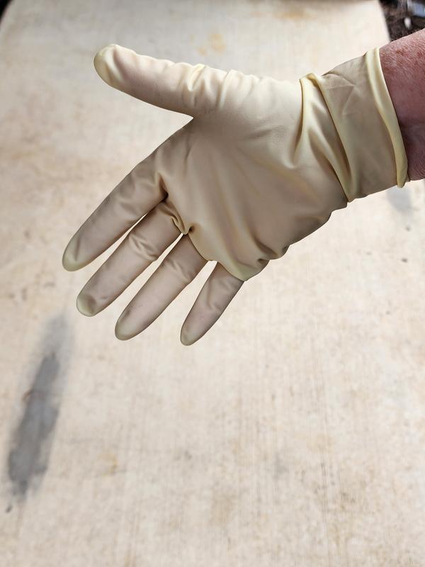 Venom Steel One Size Fits All Off-white Latex Gloves, (25-Pairs) in the  Work Gloves department at