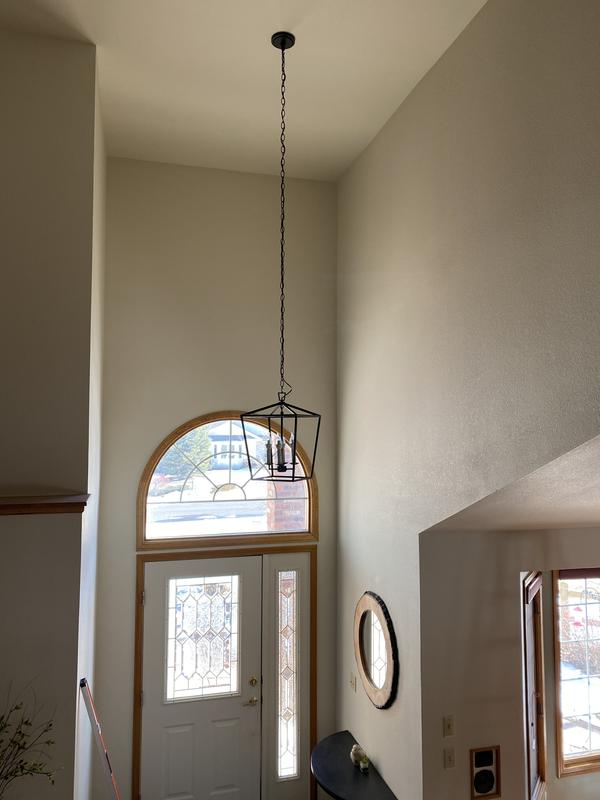 Daisy and resin light sculpture with a walnut wood base - acroclinium  daisies - Daisy lamp - statement lighting