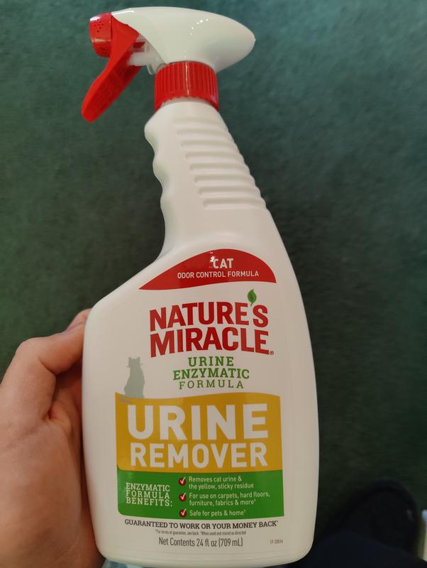 Nature's miracle urine destroyer hotsell smells worse