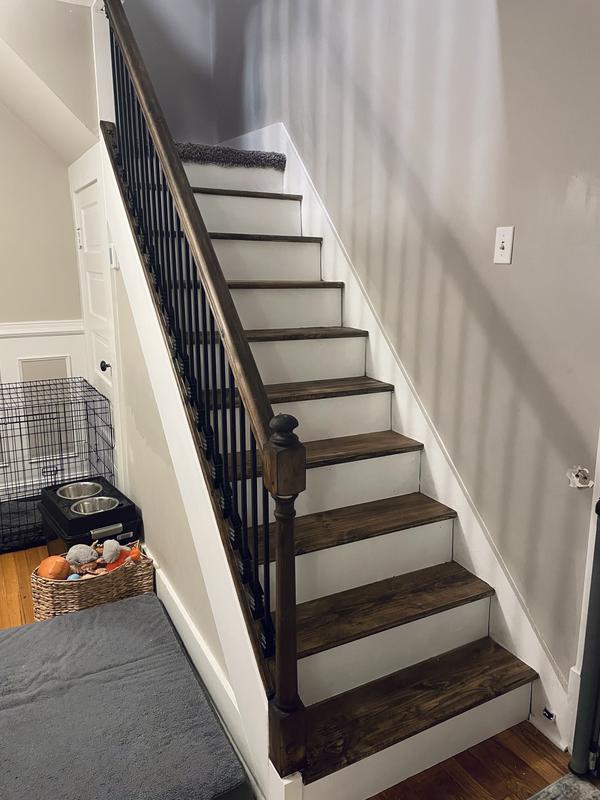 L.J. Smith Stair Systems 2.5-in x 96-in Unfinished Wood Oak Interior ...