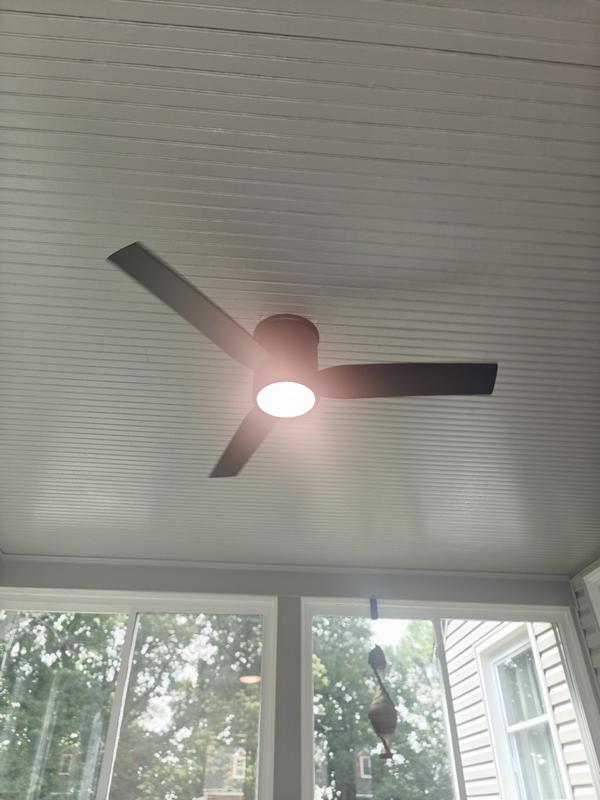 Globe Electric Caledon 52-in Black/Brushed Gold with Black Blades Color ...