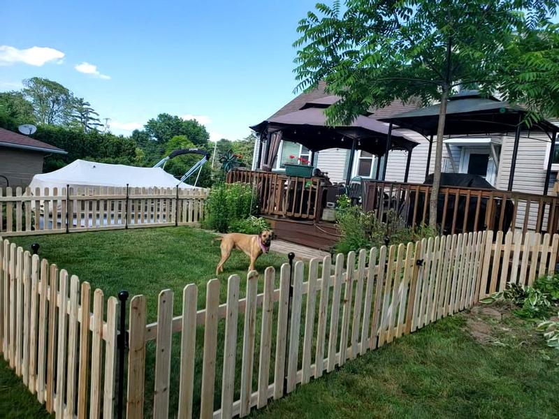 Cedar dog clearance ear fence panel