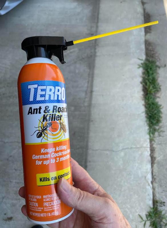 TERRO 16-oz Ant and Roach Insect Killer Aerosol at Lowes.com