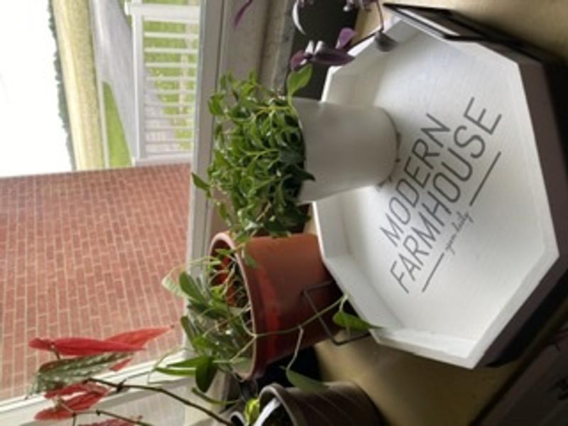 allen + roth 14-in x 14-in White Octagonal Serving Tray at Lowes.com