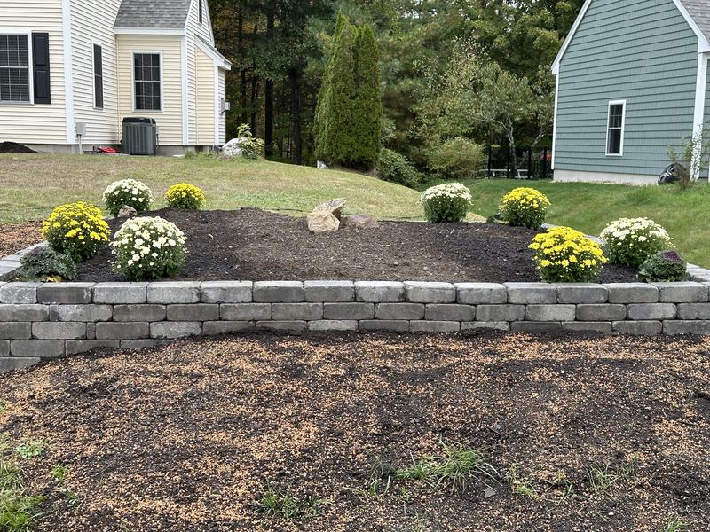 Shop Pavestone Tree Ring (114