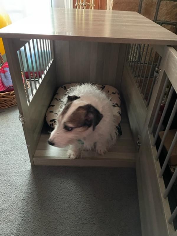 Poster Dog Crate With Composite Material photo