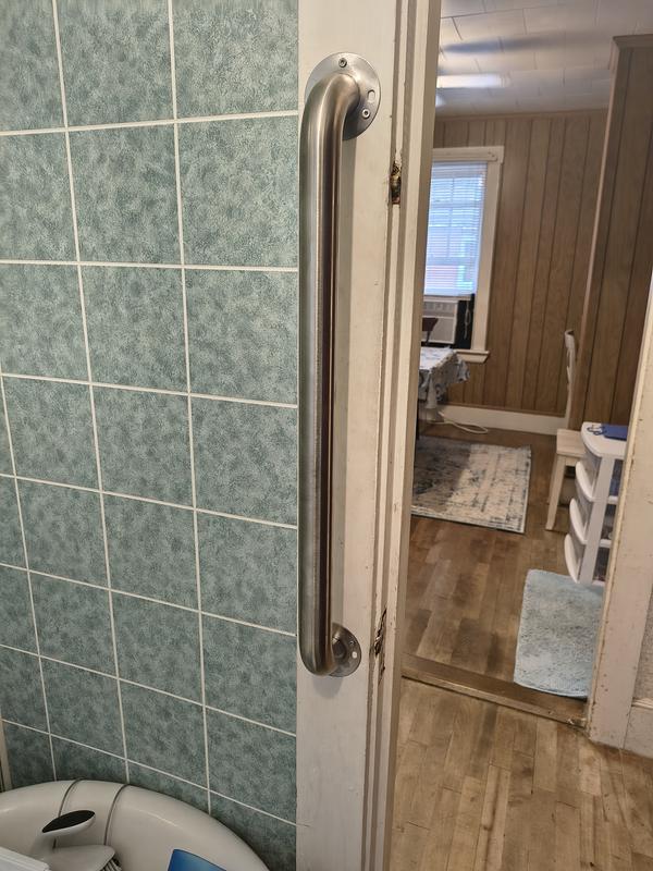 Project Source Exposed Screw 36-in Stainless Steel Wall Mount ADA