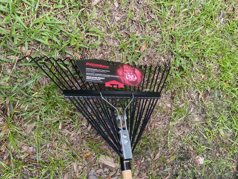 https://photos-us.bazaarvoice.com/photo/2/cGhvdG86bG93ZXM/7eeec0d2-f82e-5951-a5d4-bddbfbdf7577
