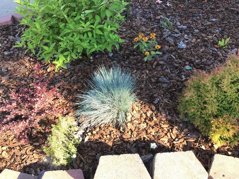 3-cu ft Dark Brown Pine Bark Mulch for Moisture Control and 3-cu ft Dark Brown Pine Bark Mulch for Moisture Control and