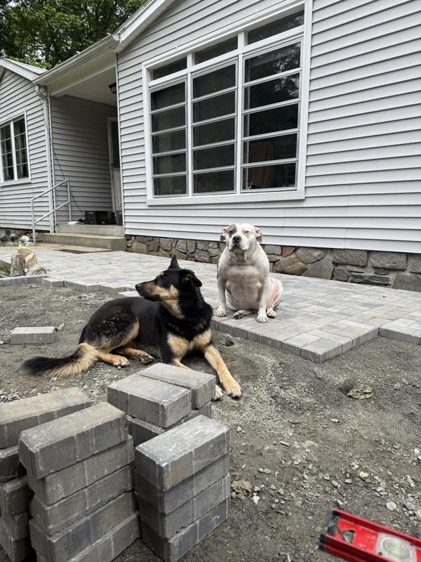 Belgard 8-in L x 4-in W x 2.36-in H Rectangle Silex Gray Concrete