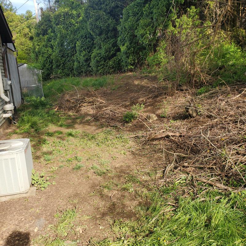 Blue Hawk 20-in Polysteel Lawn Rake with Wood Handle 16098152 at Lowes.com