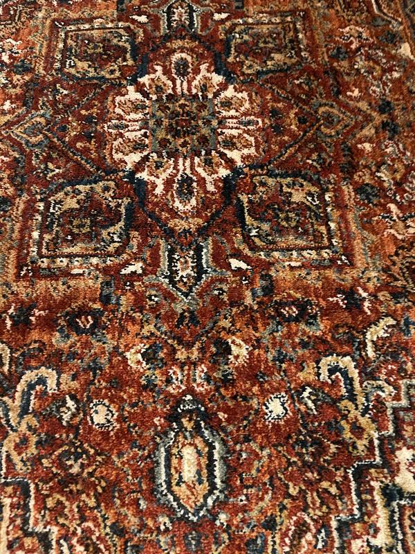 allen + roth with STAINMASTER Jezebel Performance 3 x 5 (ft) Loomed ...
