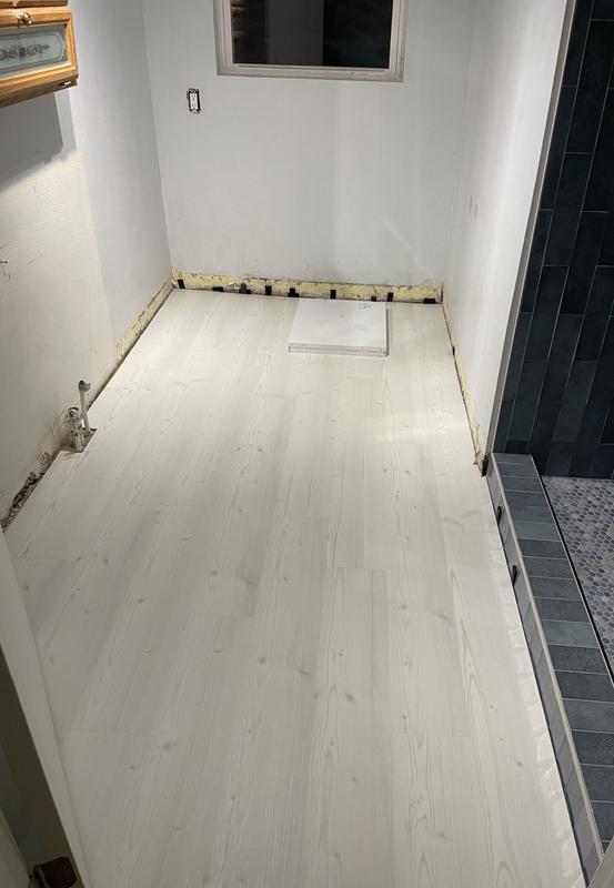 STAINMASTER (Sample) Carbon Oak Luxury Vinyl Plank