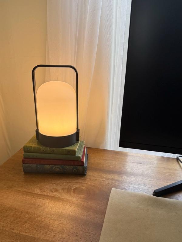 Style Selections Lantern 9-in Adjustable Black Standard Desk Lamp