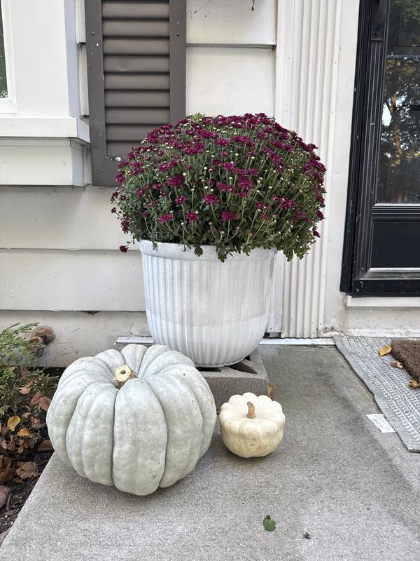 Origin 21 Round 13.03-in W x 13.03-in L White Recycled plastic