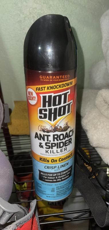 Shop Hot Shot Fragrance Free Aerosol & Liquid Ant Bait Bundle at