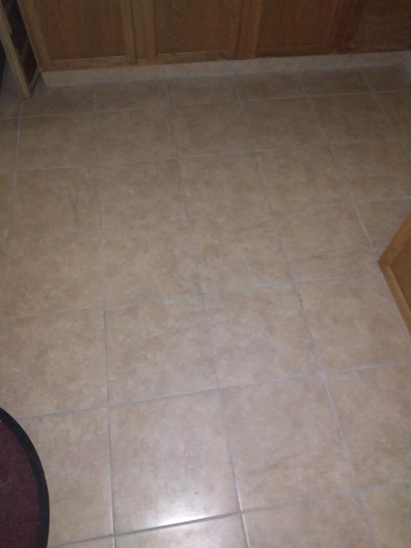 Style Selections Capri Mixed/Glazed Porcelain 12-in x 12-in Glazed Porcelain Uniform Squares Stone Look Floor and Wall Tile (0.95-sq. ft/ Piece)
