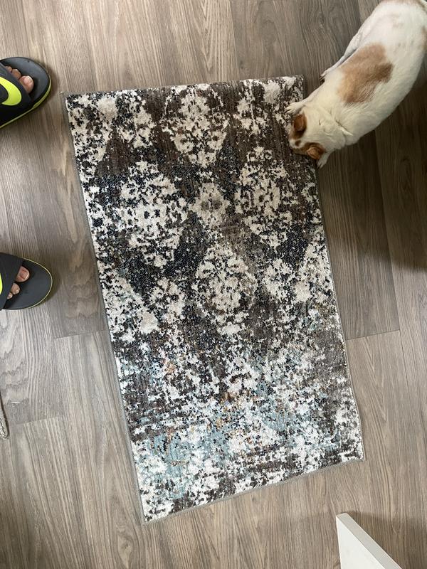 allen + roth with STAINMASTER Damask Abstract 2 x 4 Smokey Gray Indoor ...