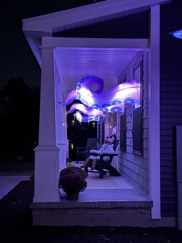 SYNCFUN 6-ft Wall Lighted Monster Inflatable 30554 at Lowes.com