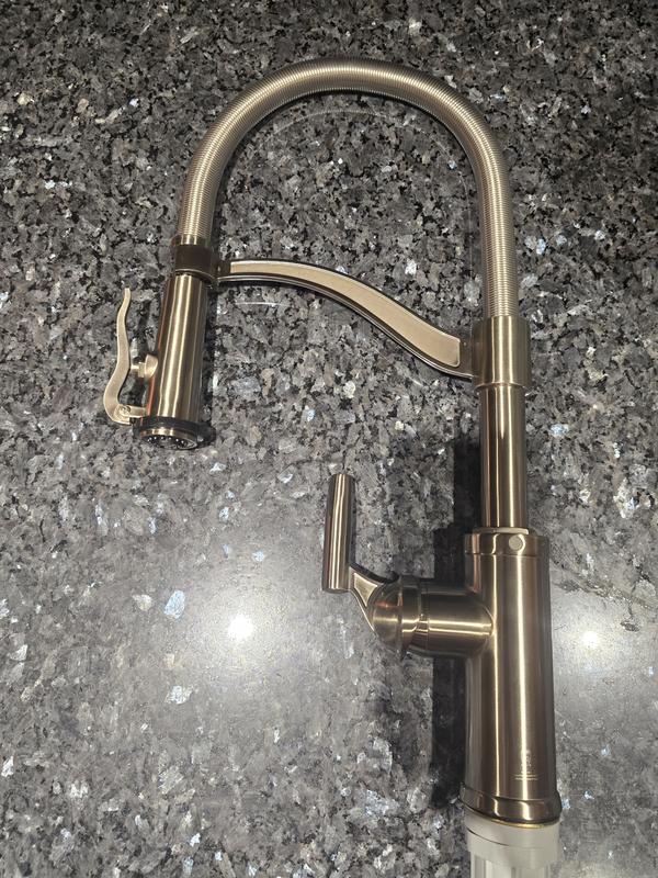 allen + roth Talbert Matte Black Single Handle Kitchen Faucet with ...