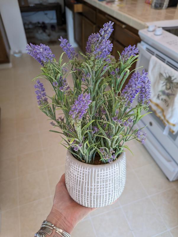 Set of 6 Potted Artificial Fake Lavender Flowers in Pots - Faux Flowers for  Home Office Decoration - Artificial Plants & Flowers - Houston, Texas