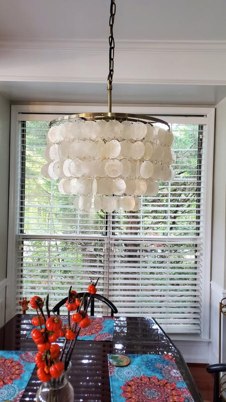 AloaDecor Lighting 3-Light Antique Bronze Coastal Shell