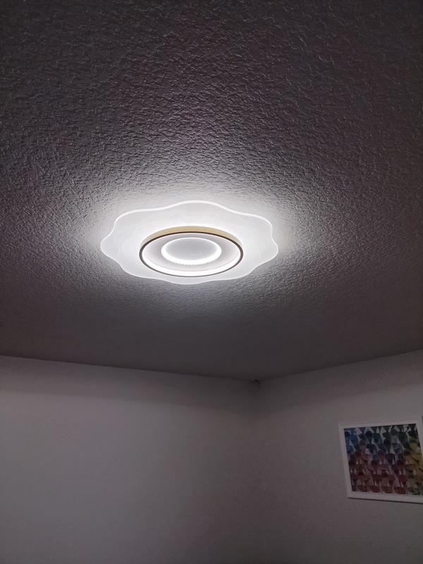 Oukaning 23-in 1-Light Brushed White LED Flush Mount Light ...