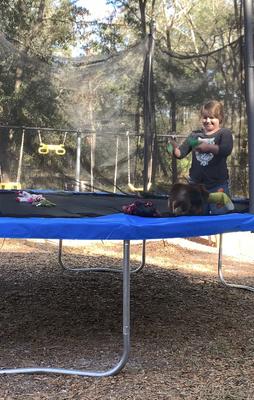 Propel 12ft trampoline sales