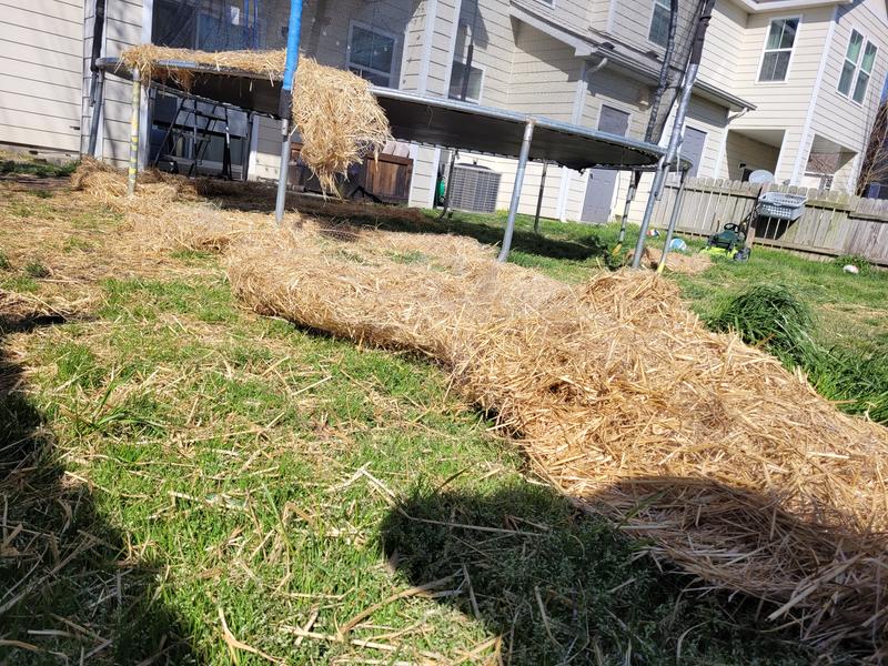 EZ Straw 50ft X 4ft Straw Natural Seed Blanket lupon.gov.ph