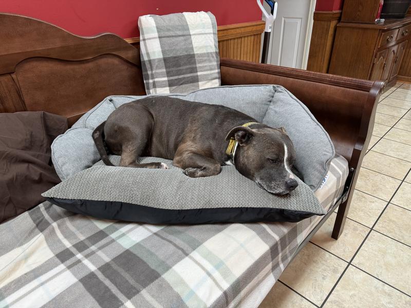 La-Z-Boy Franklin Dog Sofa with Pillow