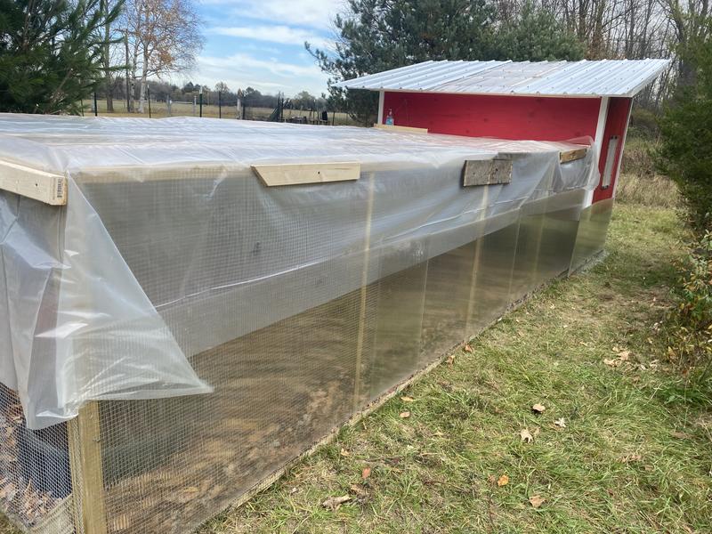 Shop Project Source (3-Pack) 10-ft x 25-ft Clear 4-mil Heavy-duty ...
