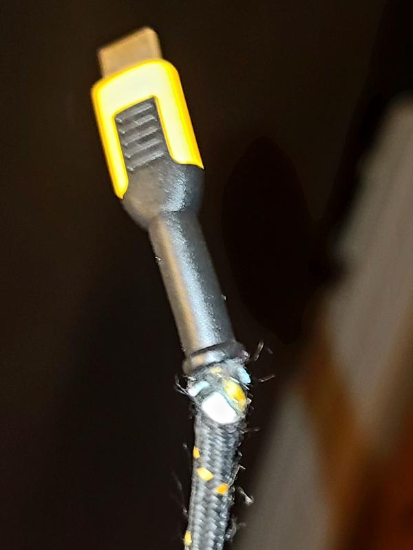 DEWALT 10 ft Usb C Black Cable in the USB Cables department at