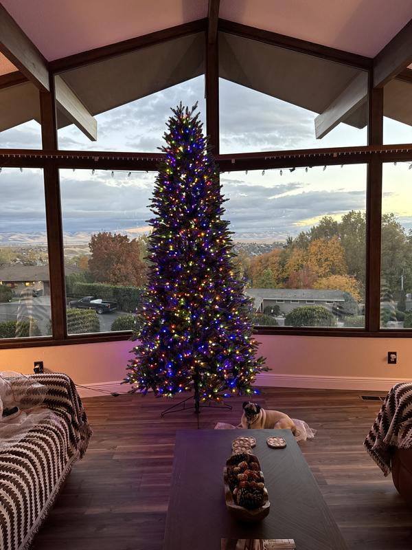 GE 9-ft Pinehurst Fir Easy Shape Pre-lit LED Artificial