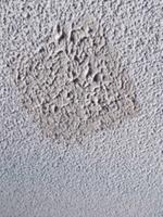 Zinsser Popcorn Ceiling Patch 32 Fl Oz White Popcorn Ceiling