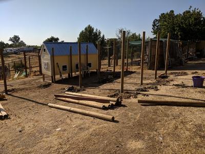 Severe Weather 5-1/2-in x 5-1/2-in x 8-ft Pressure Treated Pine Post ...