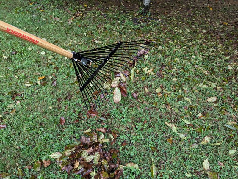 Razor-Back 34-in L Wood-Handle Steel Garden Rake 2911200 at Lowes.com