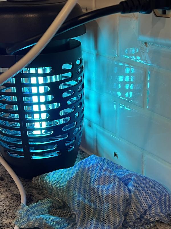 BLACK+DECKER Outdoor Hanging Bug Zapper, Continuous Run, Recommended for  Moths, Flies, Mosquitos, Indoor/Outdoor, Lowe's Exclusive, Electric, Odorless