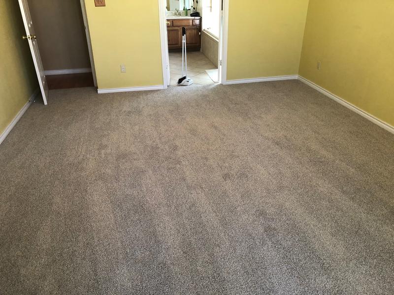 Determined Refined Textured Carpet In